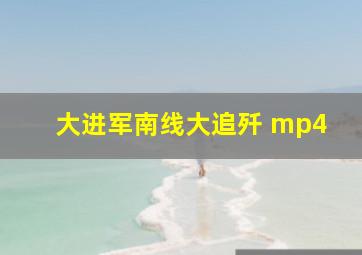 大进军南线大追歼 mp4